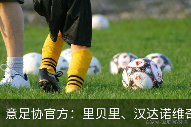 意足协官方：里贝里、汉达诺维奇，迪亚曼蒂等获欧足联职业教练证